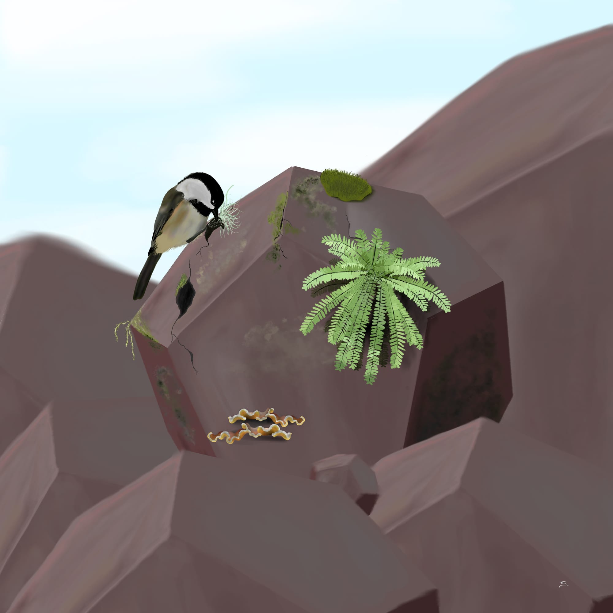 A digital sketch. A black-capped chickadee pecks at something in a crack on a boulder ther shap of a dodecahedron in a boulderfield. the boulder has some moss, ferns, and fungus on it, but the rest in the field do not. Only the boulder that the chickadee is on is in focus. 