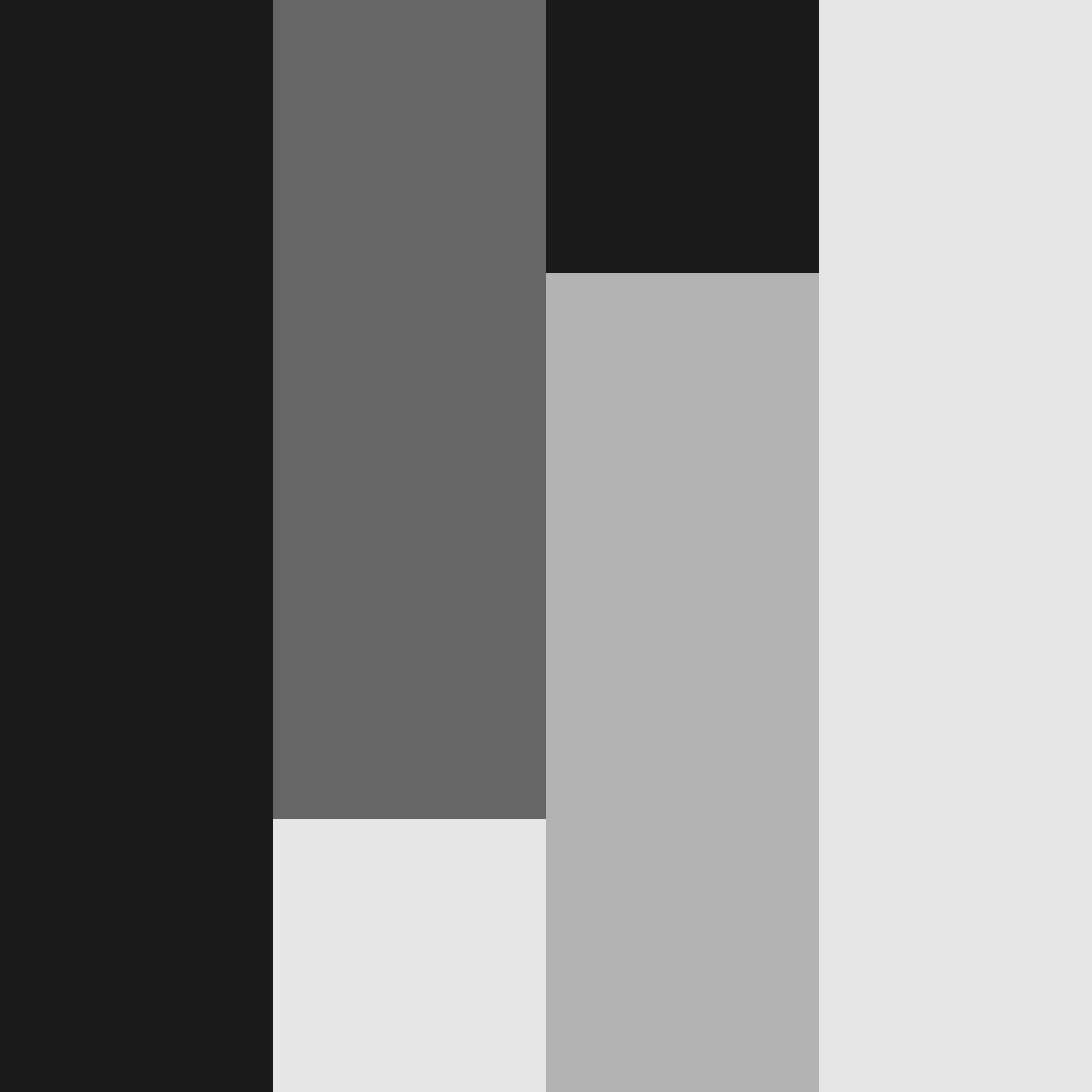 reversed block with the black stripe on the left and bright stripe on the right mid tones in the middle withsquares from the light and dark.