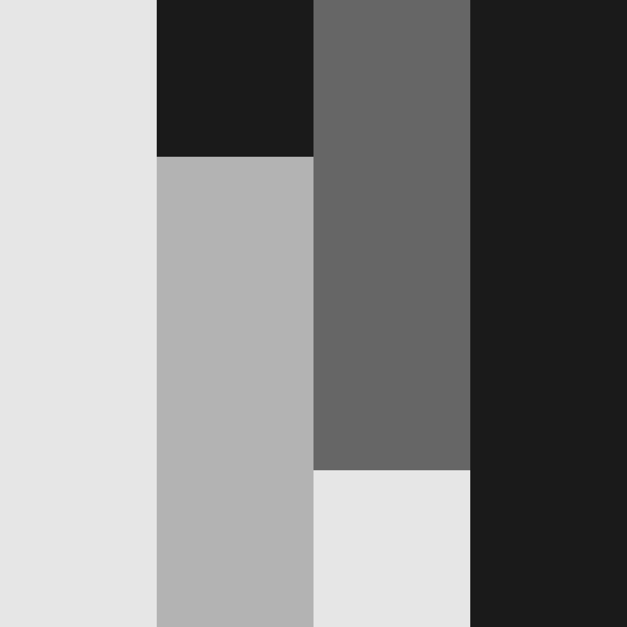 A light vertical stripe, then a stripe with a black square and light grey strip, the a dark grey strip and lighter grey square, then a black strip