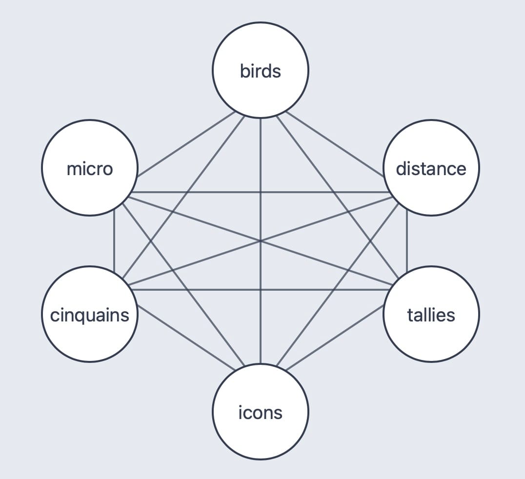 circles with words of birds, distance, tallies, icons, cinquains, and micro at vertices of a hexagon - lines between vertices