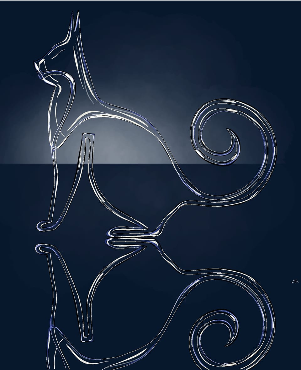 a cat shaped klein bottle sketch